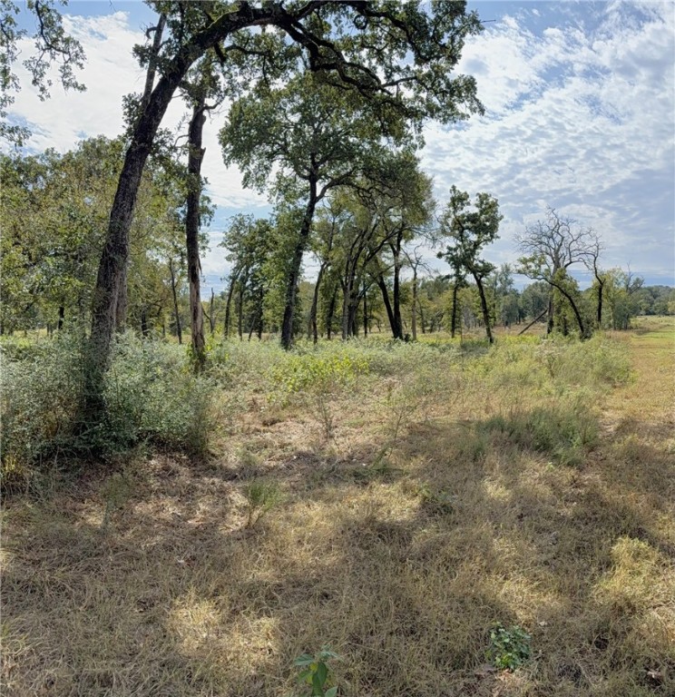5878 East Boone Prairie Road, Unit COUNTYROAD Franklin, TX 77856 - Photo 26 of 42 a view of a forest with trees