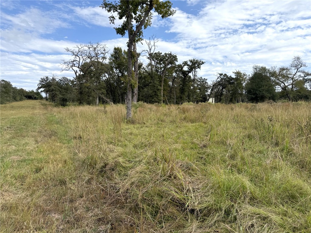 5878 East Boone Prairie Road, Unit COUNTYROAD Franklin, TX 77856 - Photo 27 of 42 a view of lake view