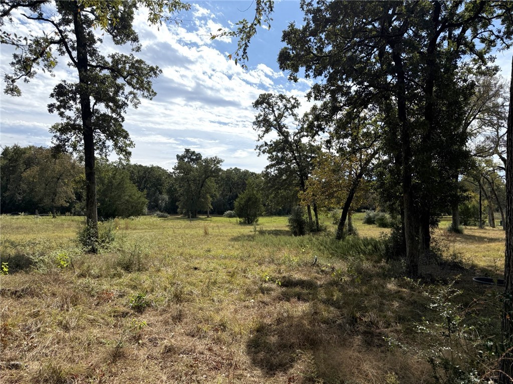 5878 East Boone Prairie Road, Unit COUNTYROAD Franklin, TX 77856 - Photo 28 of 42 a view of dirt yard with a tree