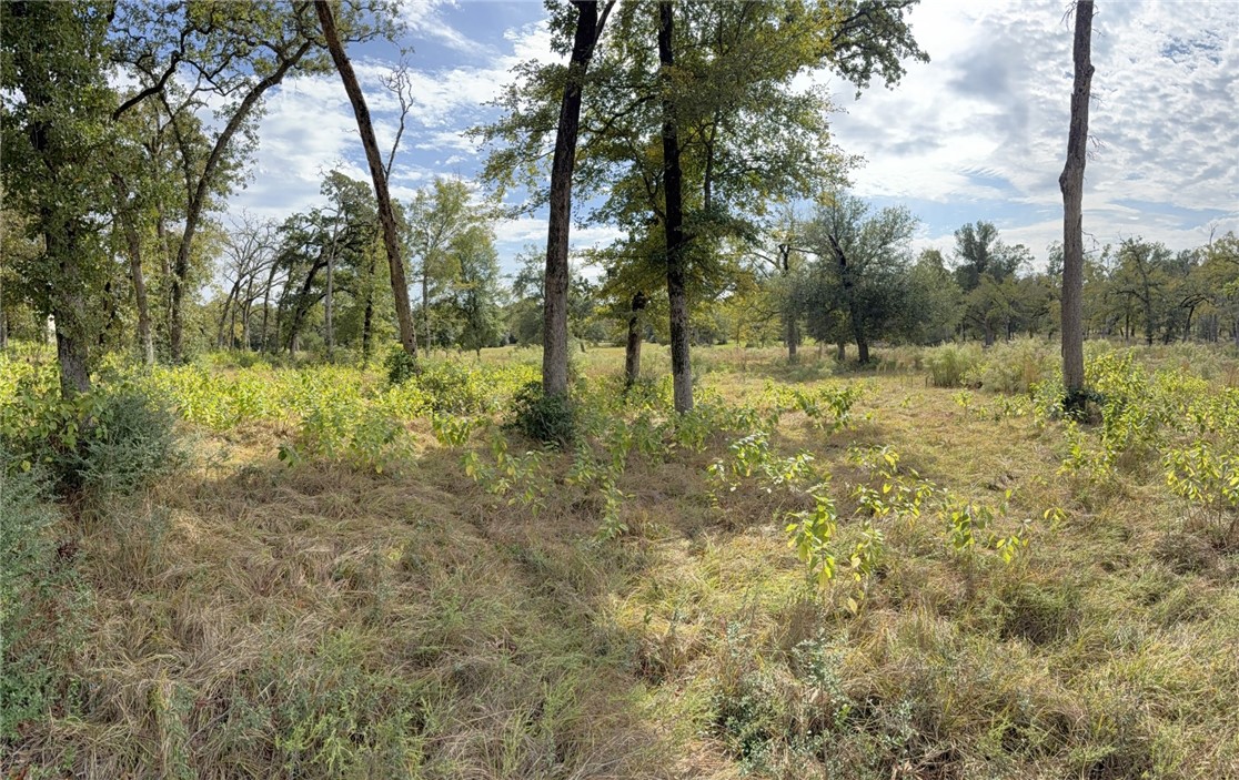 5878 East Boone Prairie Road, Unit COUNTYROAD Franklin, TX 77856 - Photo 31 of 42 a view of a yard with a tree