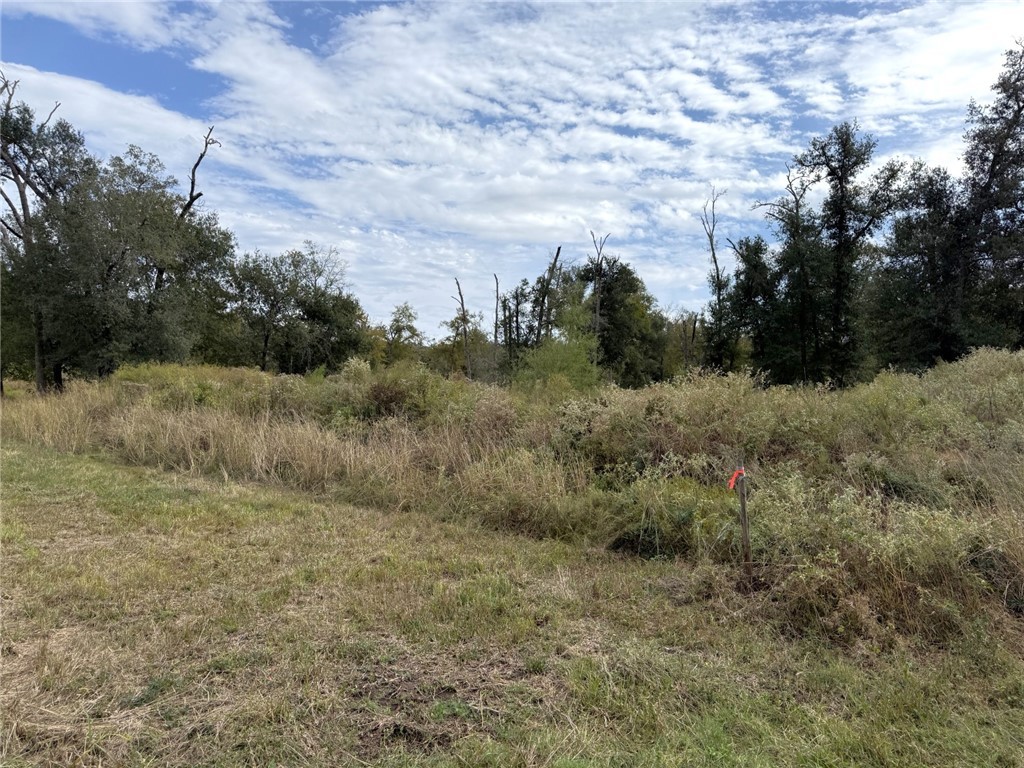 5878 East Boone Prairie Road, Unit COUNTYROAD Franklin, TX 77856 - Photo 32 of 42 a view of a dry field