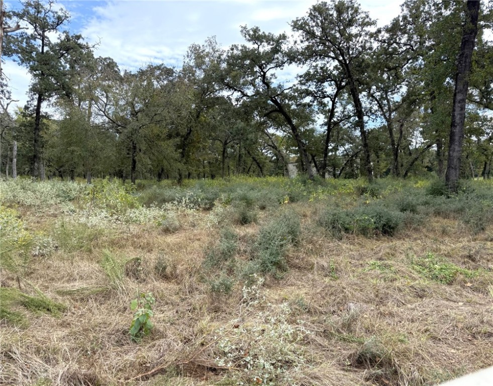 5878 East Boone Prairie Road, Unit COUNTYROAD Franklin, TX 77856 - Photo 34 of 42 a view of a yard with trees in the background