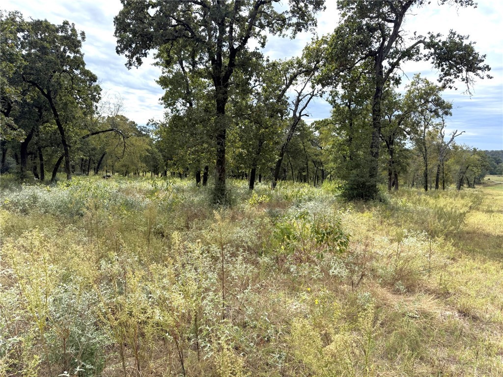 5878 East Boone Prairie Road, Unit COUNTYROAD Franklin, TX 77856 - Photo 35 of 42 a big yard with lots of green space and deers