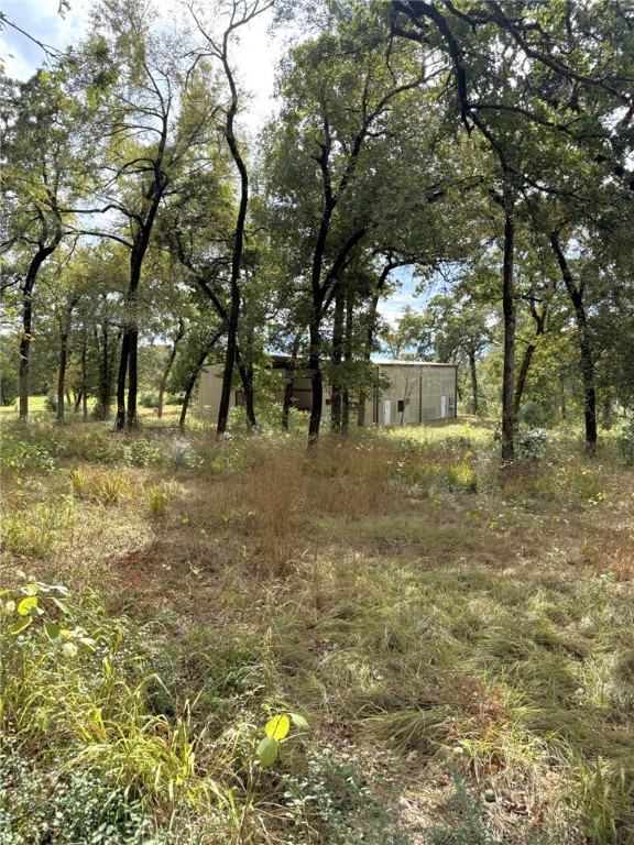 5878 East Boone Prairie Road, Unit COUNTYROAD Franklin, TX 77856 - Photo 36 of 42 a view of a yard with a tree