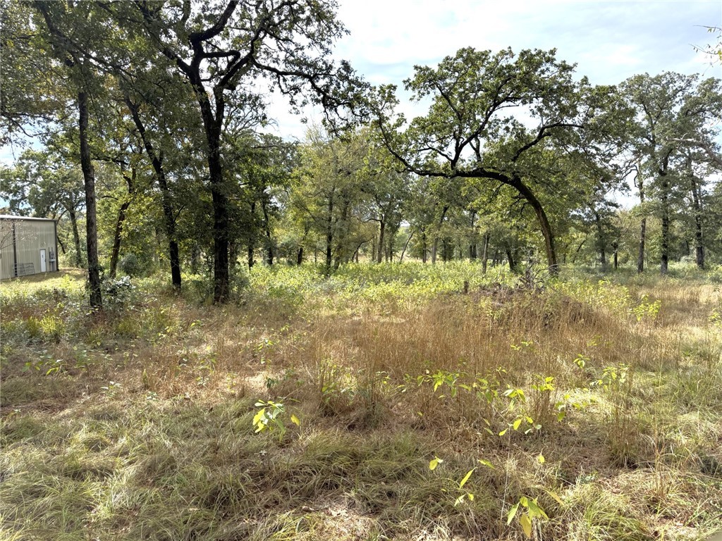 5878 East Boone Prairie Road, Unit COUNTYROAD Franklin, TX 77856 - Photo 37 of 42 a view of outdoor space with trees all around
