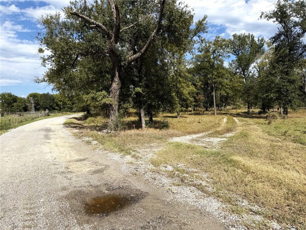 5878 East Boone Prairie Road, Unit COUNTYROAD Franklin, TX 77856 - Photo 38 of 42 a view of a yard with trees