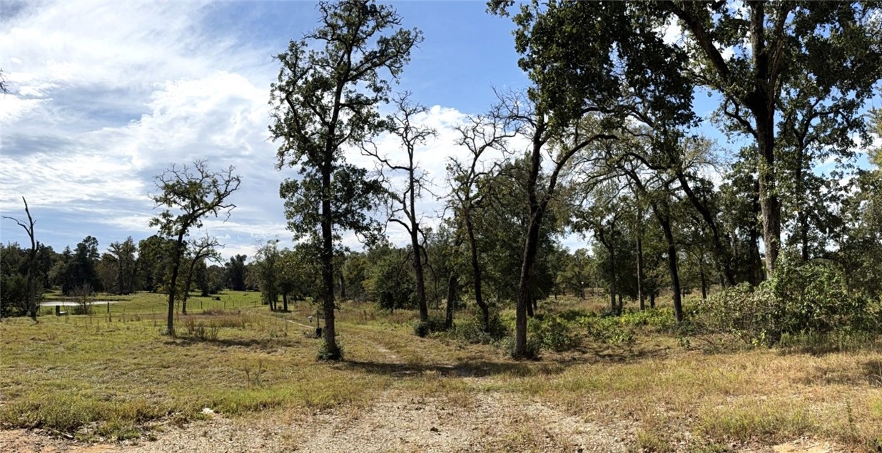 5878 East Boone Prairie Road, Unit COUNTYROAD Franklin, TX 77856 - Photo 8 of 42 a backyard of a house with lots of trees