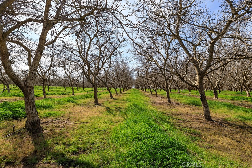 0 Highway 59 Merced Ca Winton, CA 95388 - Photo 11 of 51