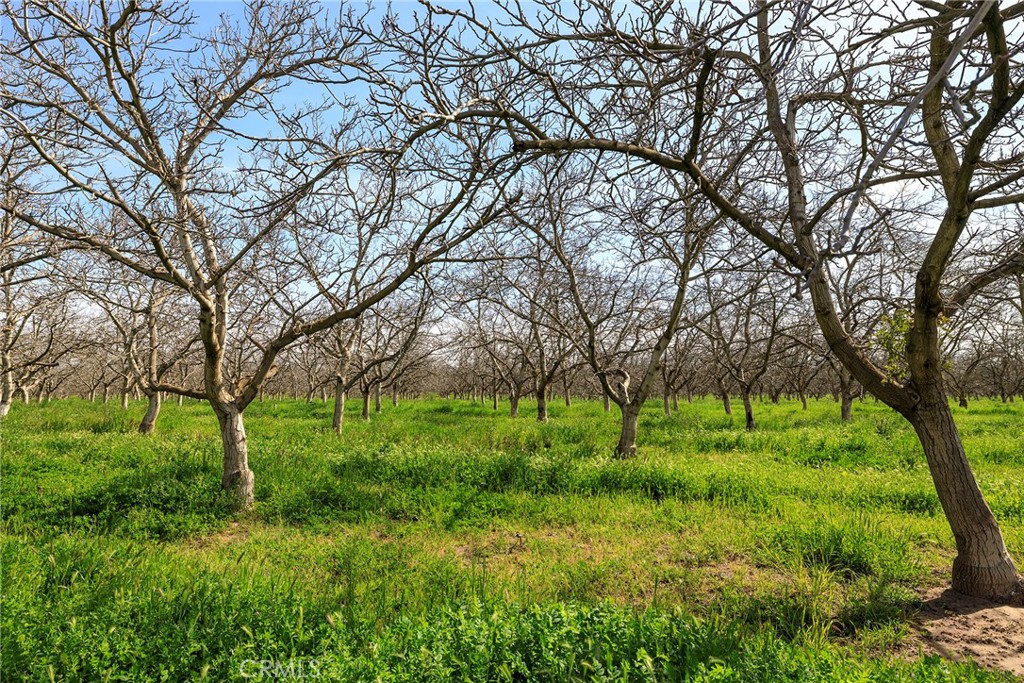 0 Highway 59 Merced Ca Winton, CA 95388 - Photo 12 of 51