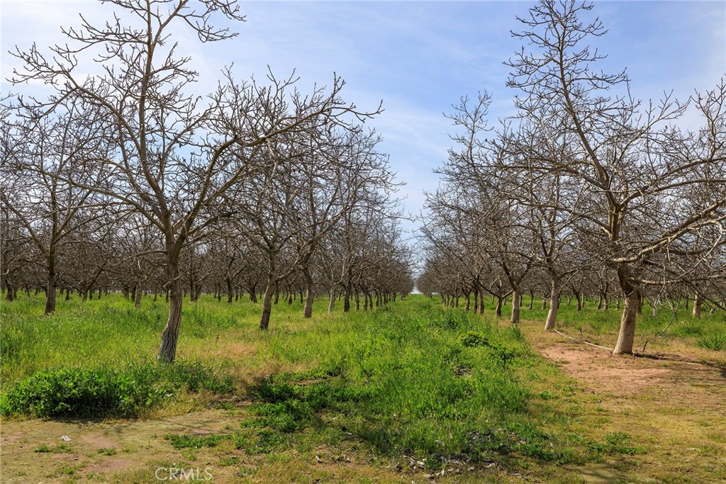0 Highway 59 Merced Ca Winton, CA 95388 - Photo 15 of 51