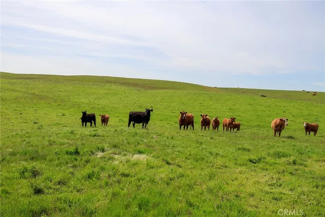 $8,500,000 | 0 Highway 59 Merced Ca, Winton, CA 95388