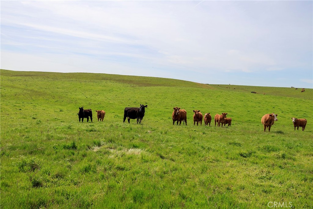 0 Highway 59 Merced Ca Winton, CA 95388 - Photo 19 of 51