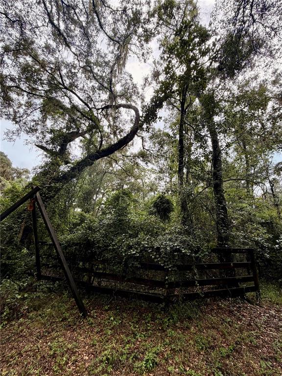 12602 Southwest Williston Road Micanopy, FL 32667 - Photo 15 of 21 Gallery Image 15