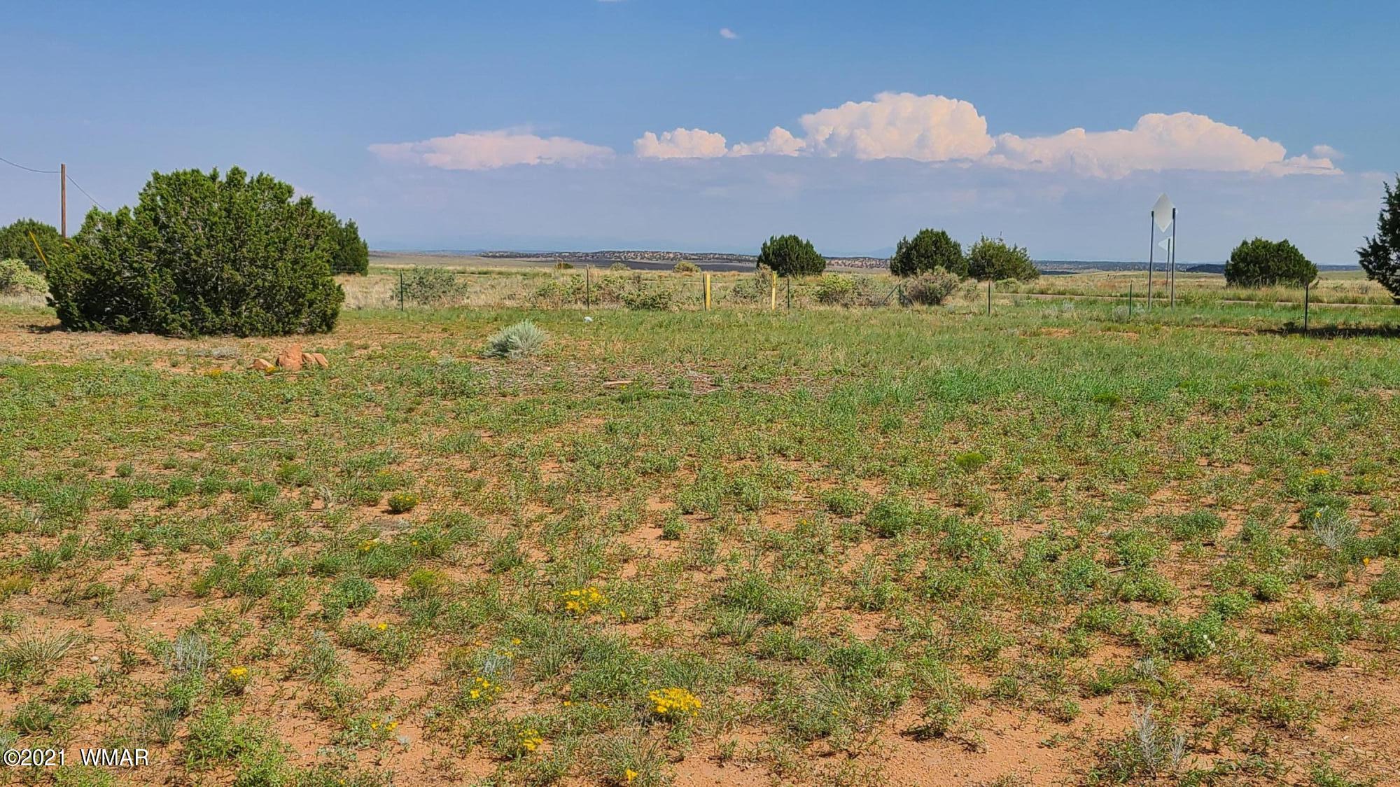 5542 Paper Mill Road Heber, AZ 85928 - Photo 8 of 27 Gallery Image 8