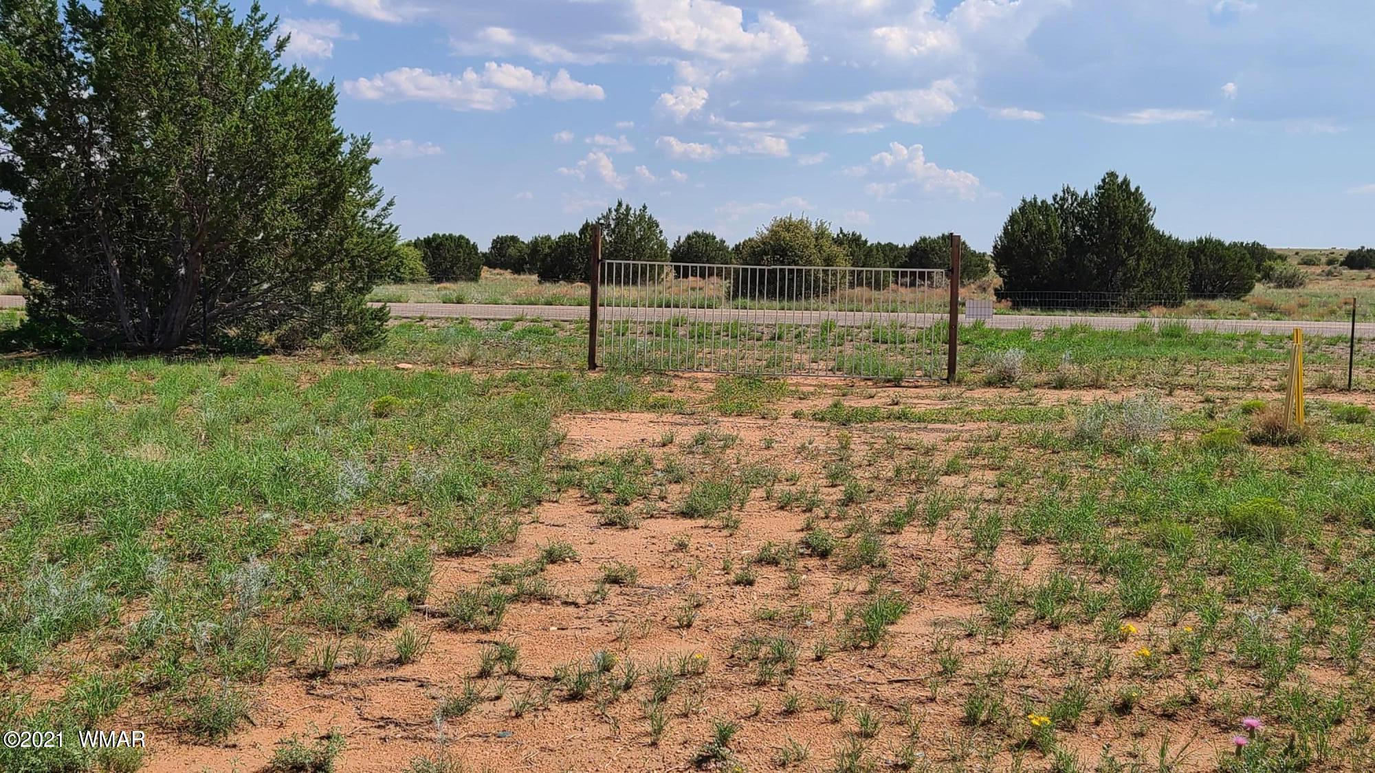 5542 Paper Mill Road Heber, AZ 85928 - Photo 9 of 27 Gallery Image 9