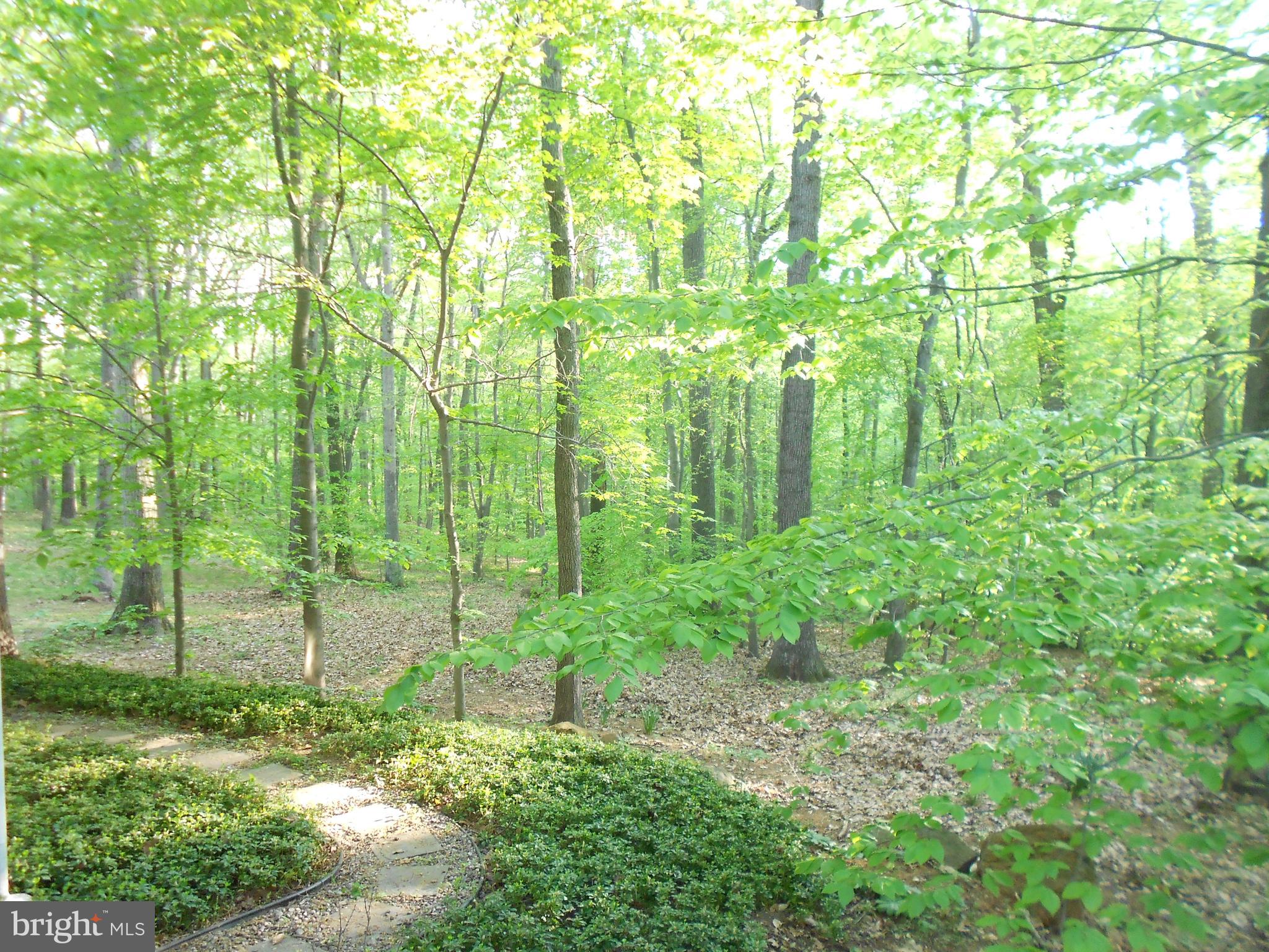 2820 Reckord Road Fallston, MD 21047 - Photo 50 of 55