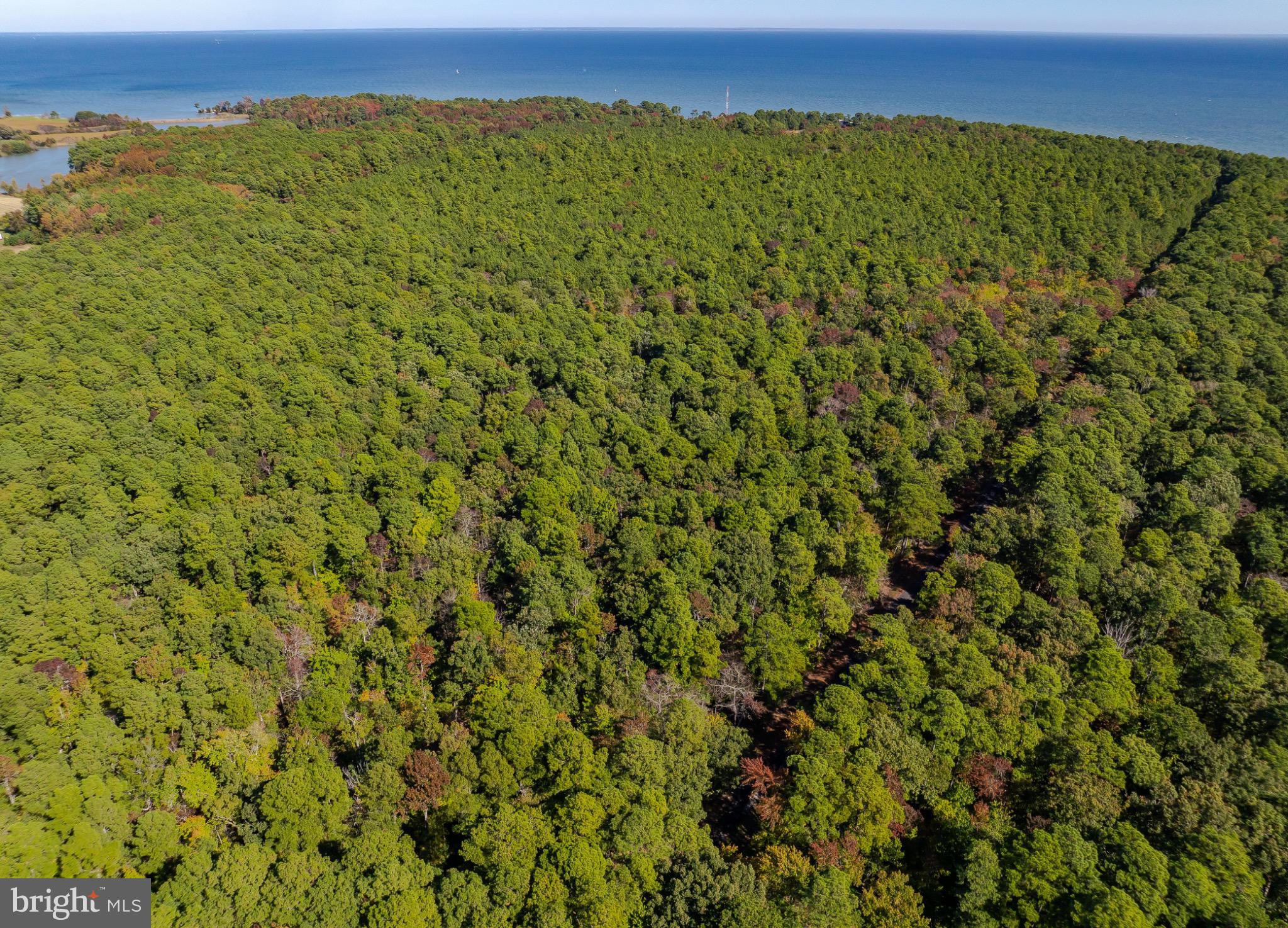 50645 Holly Point Road Dameron, MD 20628 - Photo 55 of 99