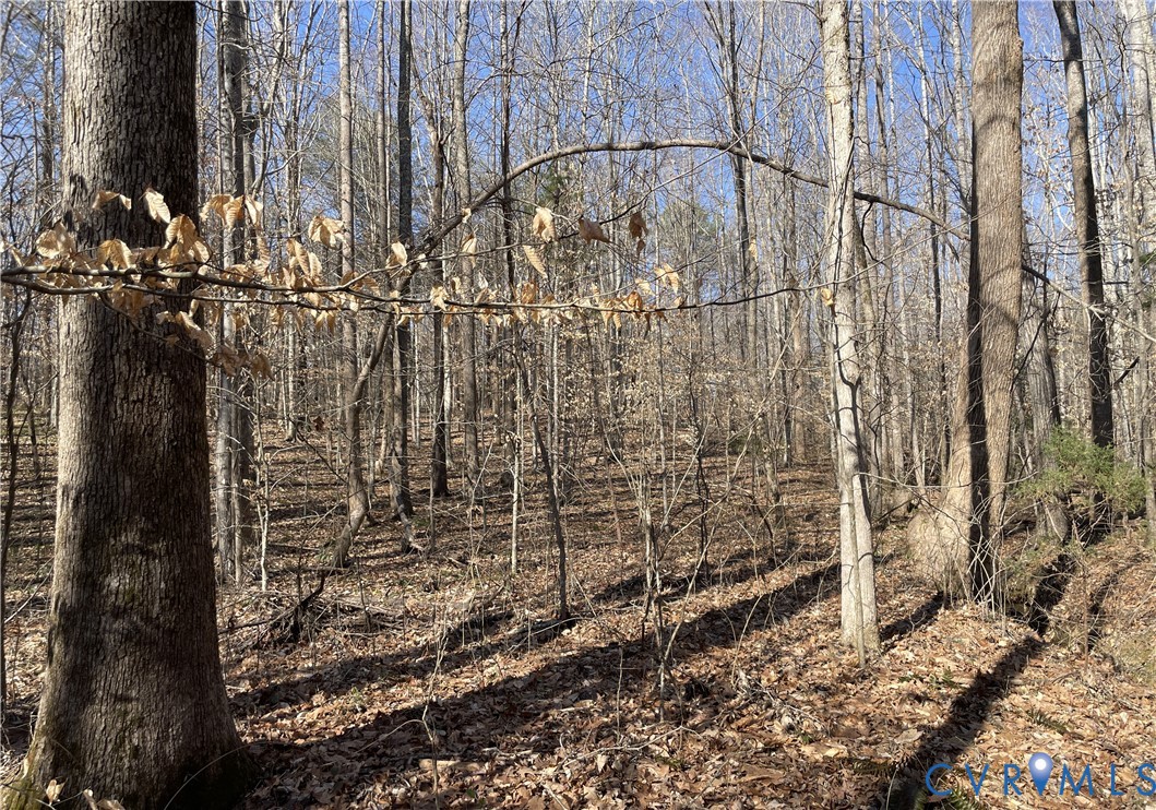 8.2-ac Plantersville Road Drakes Branch, VA 23937 - Photo 6 of 9
