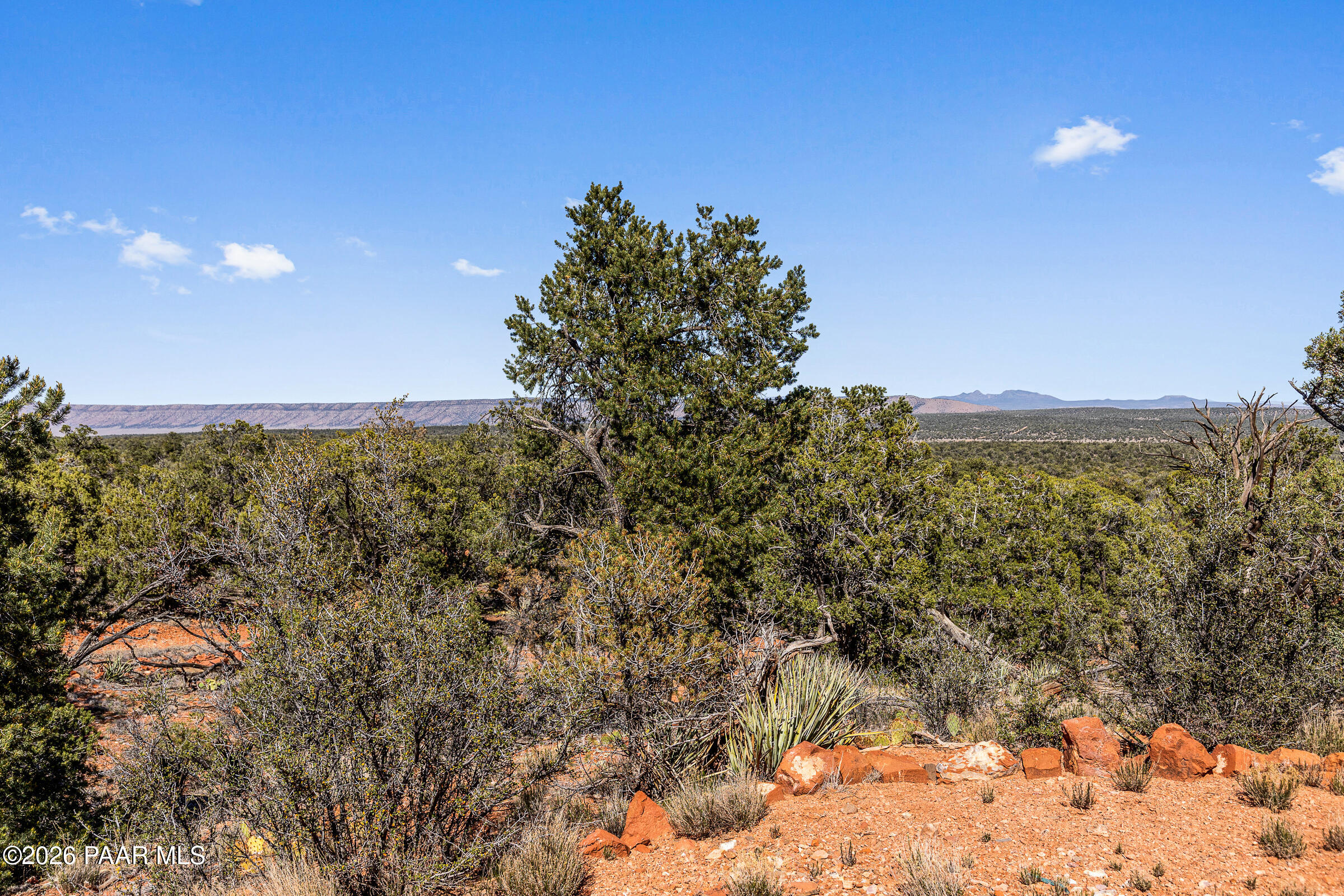 33749 West Whiskey River Road, Unit 21 Seligman, AZ 86337 - Photo 9 of 41 a view of a forest with mountains in the background