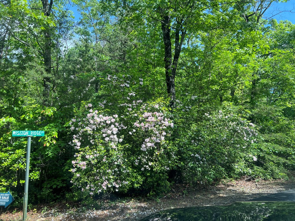 Lot 35 Mission Ridge Hayesville, NC 28904 - Photo 5 of 15