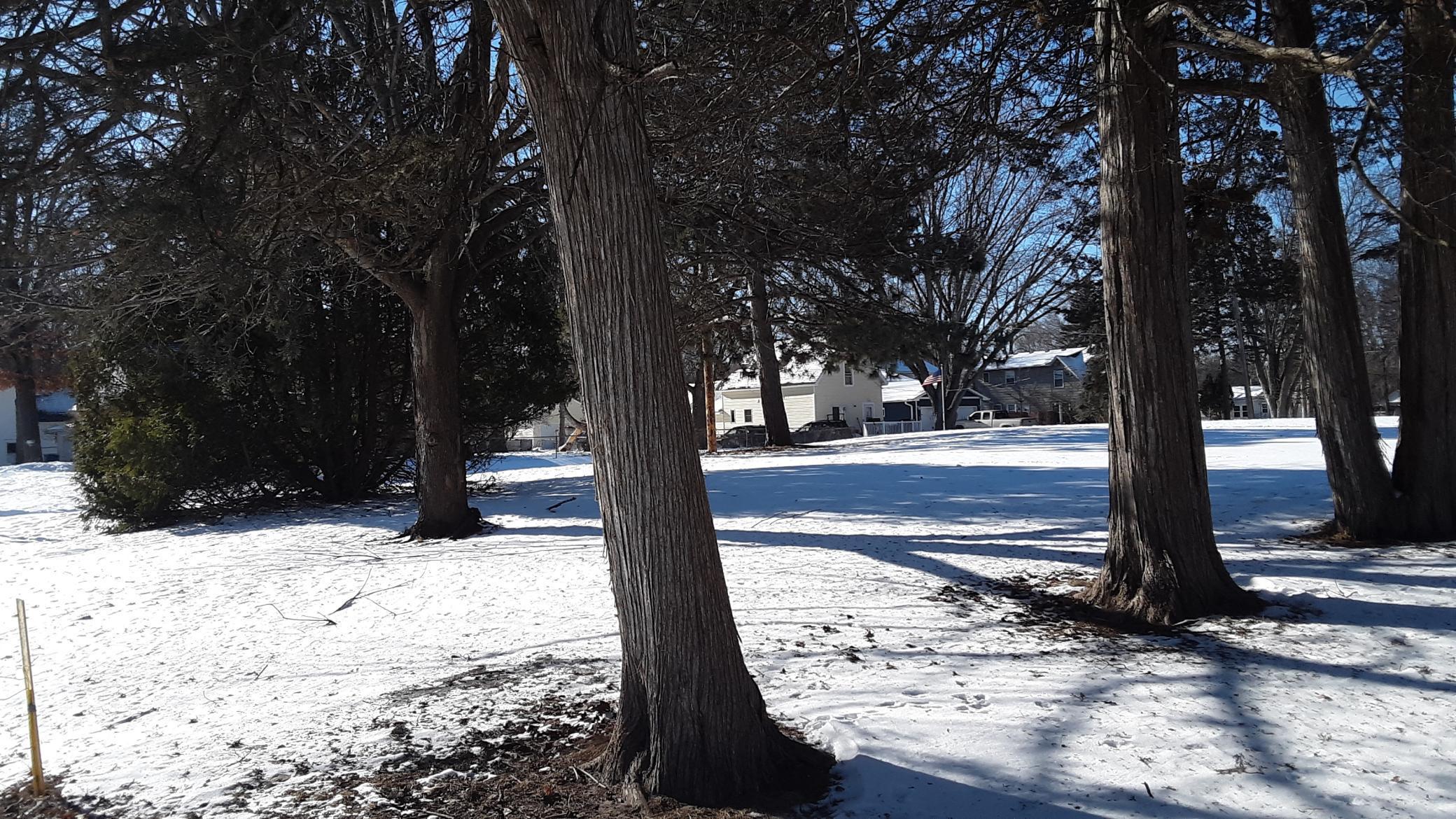 34 X 3rd Street Northwest Forest Lake, MN 55025 - Photo 9 of 9