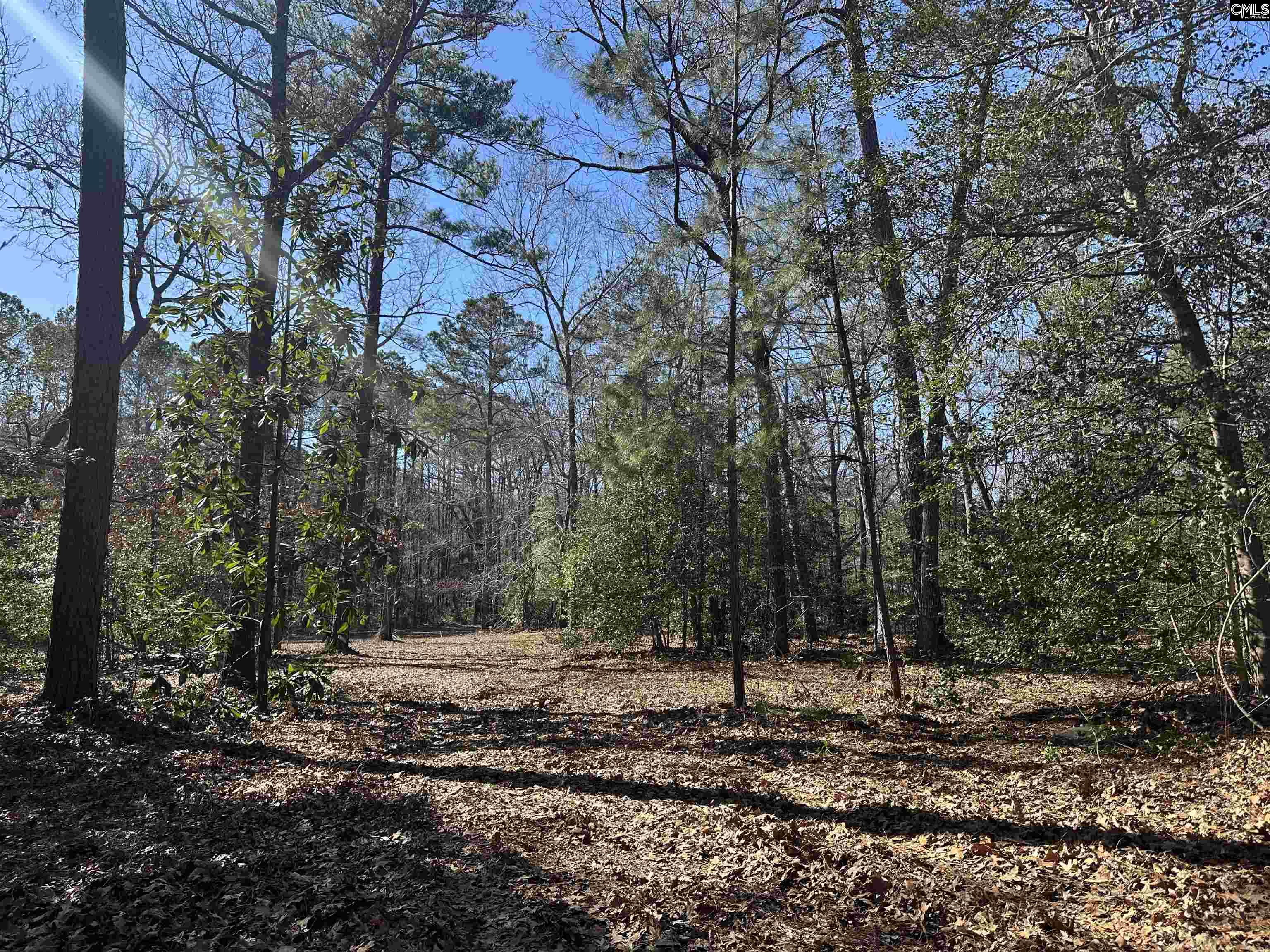 622 Juniper Springs Road Gilbert, SC 29054 - Photo 8 of 10