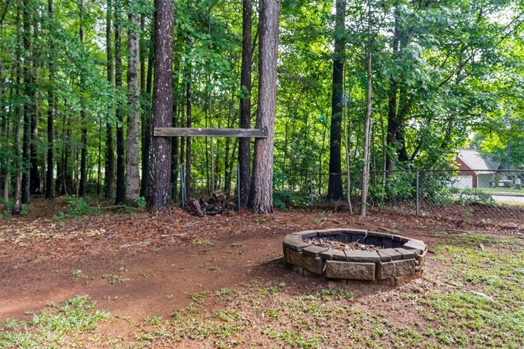 300 Cobb Court Hampton, GA 30228 - Photo 50 of 66