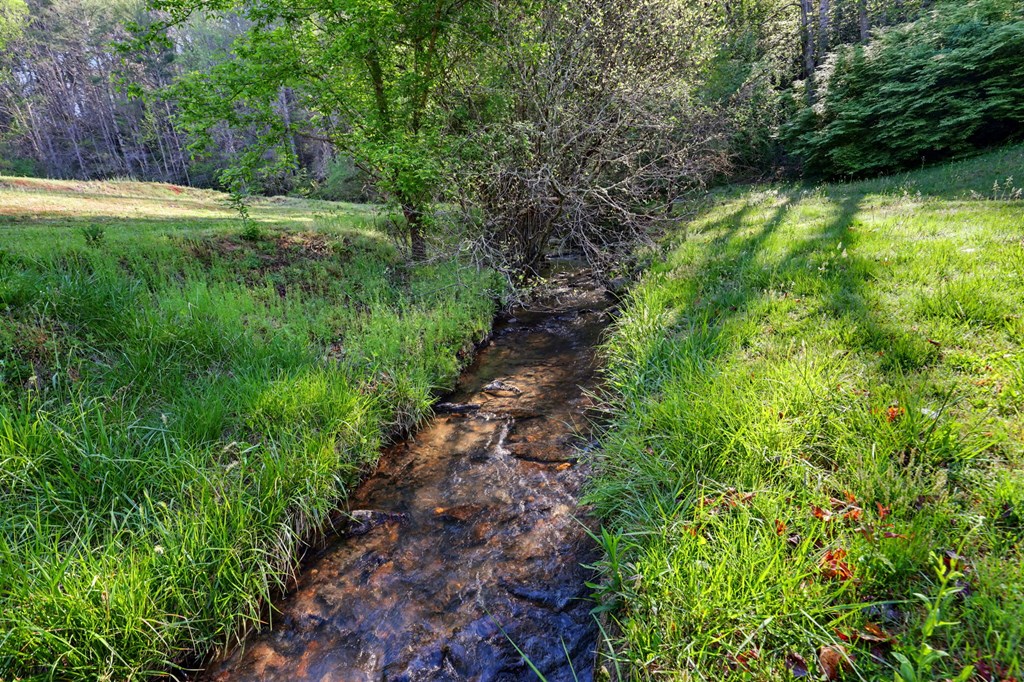 20 Bates Creek Road Murphy, NC 28906 - Photo 40 of 47