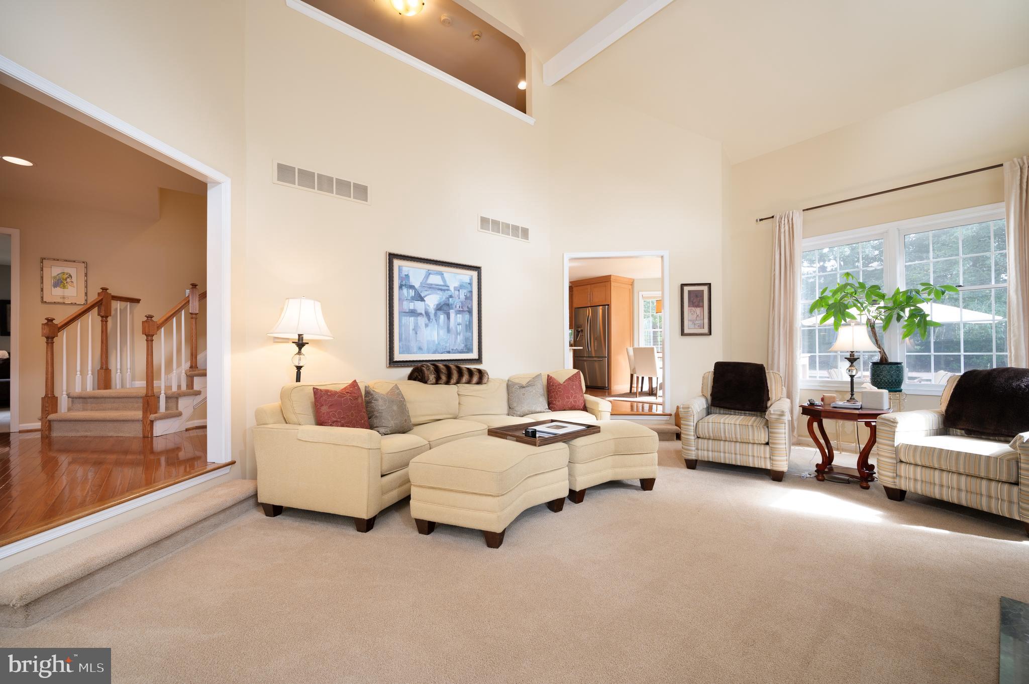 38 Arizona State Drive Newark, DE 19713 - Photo 15 of 39 Vaulted ceiling in the family room