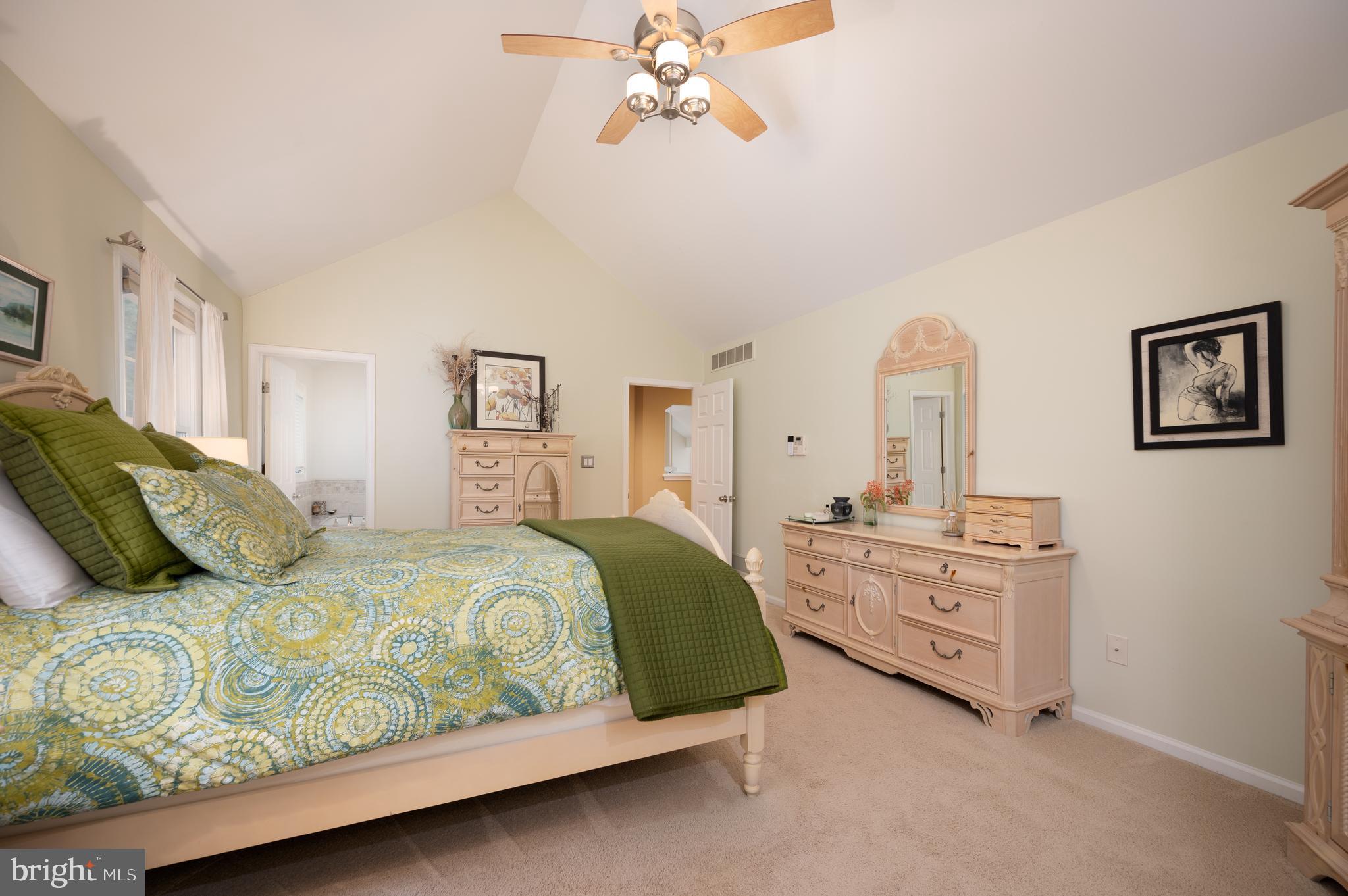 38 Arizona State Drive Newark, DE 19713 - Photo 21 of 39 Primary bedroom with vaulted ceilings
