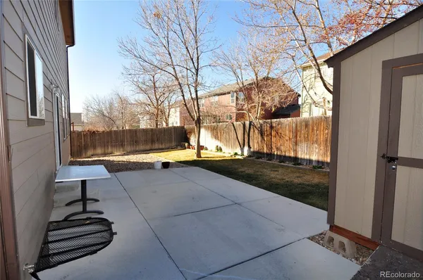 a view of backyard with a large tree