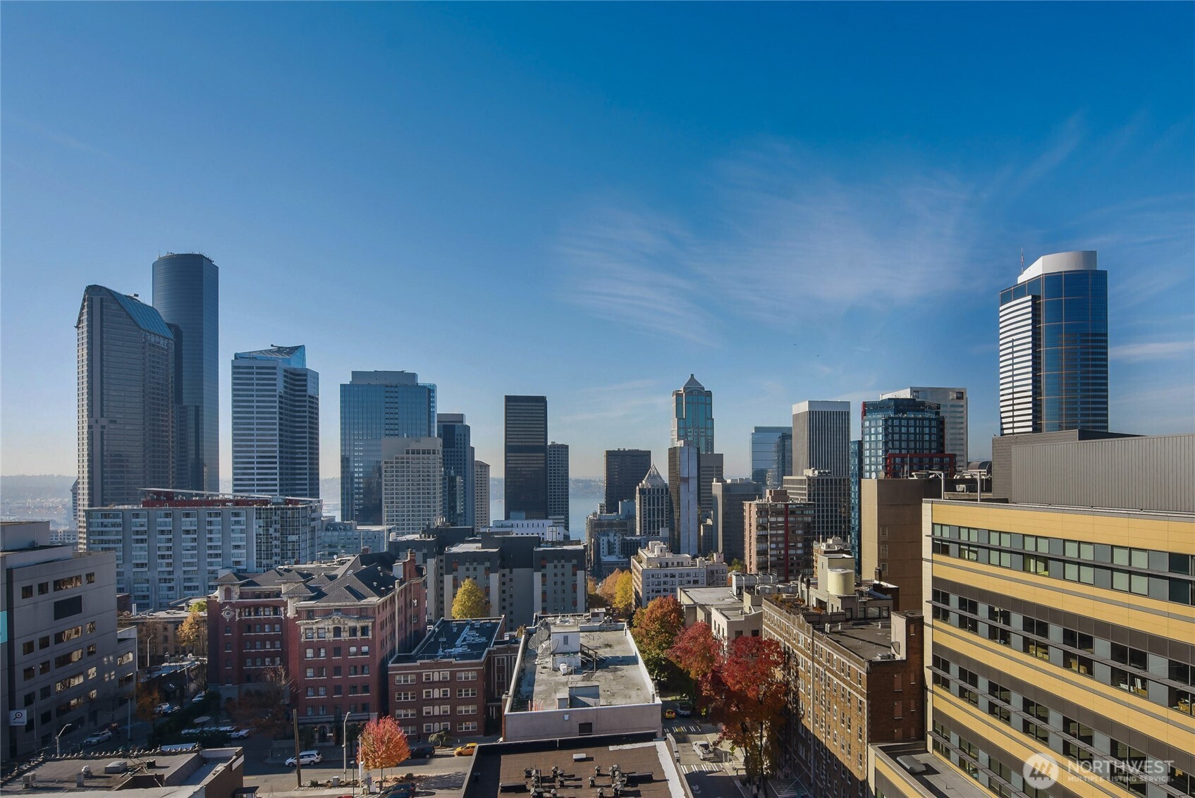 1105 Spring Street, Unit 1303 Seattle, WA 98104 - Photo 7 of 18