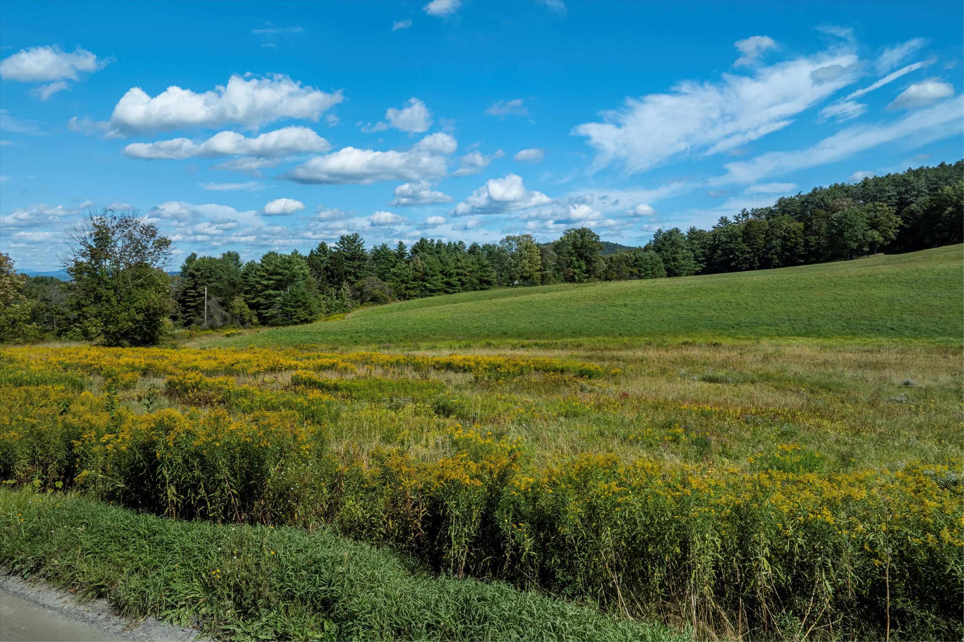 56 Mt Hunger Road Hartland, VT 05048 - Photo 49 of 51 Gallery Image 49