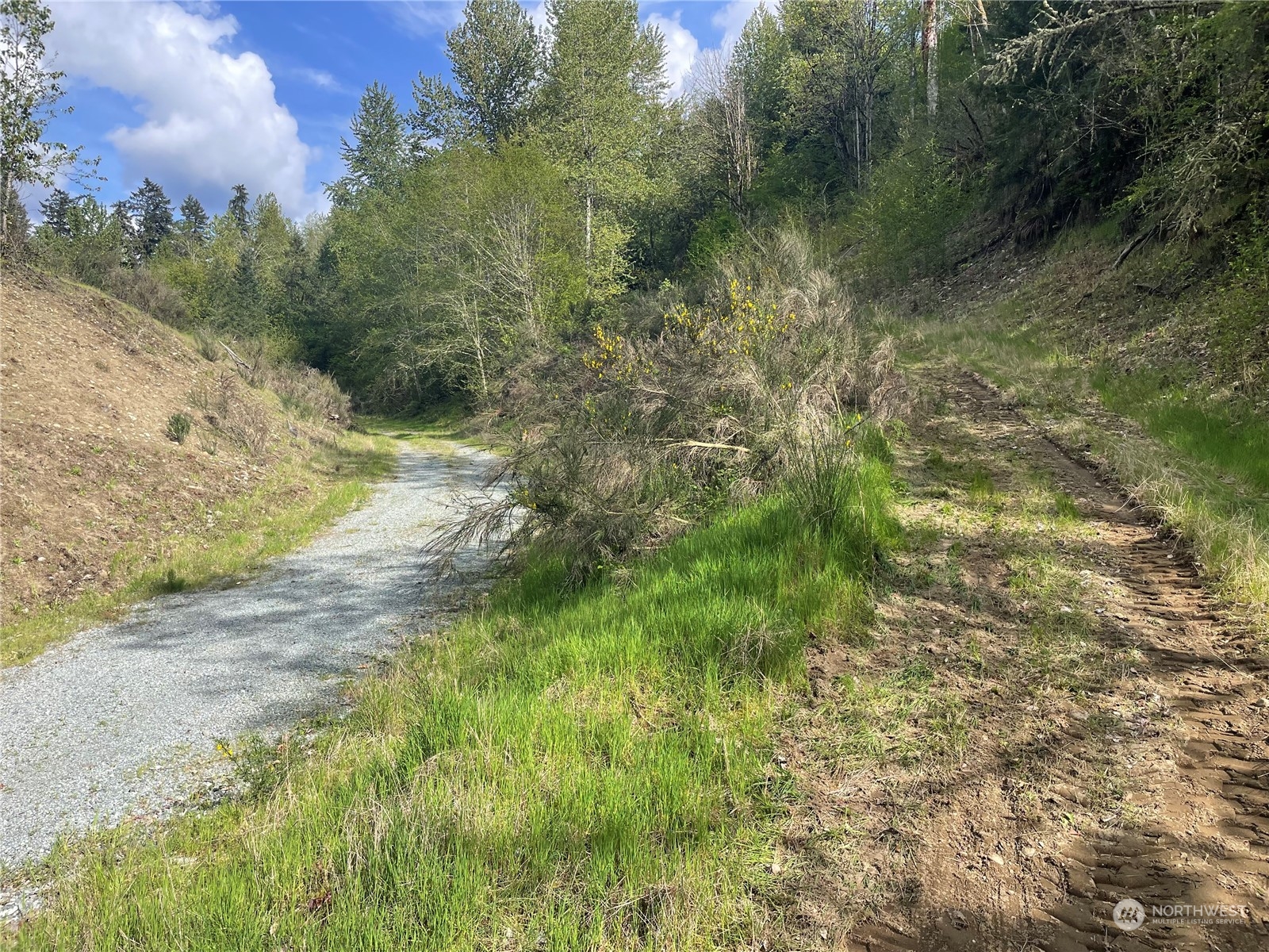 21635 Orville Road East Orting, WA 98360 - Photo 11 of 39