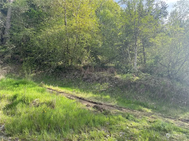 $500,000 | 21635 Orville Road East, Orting, WA 98360