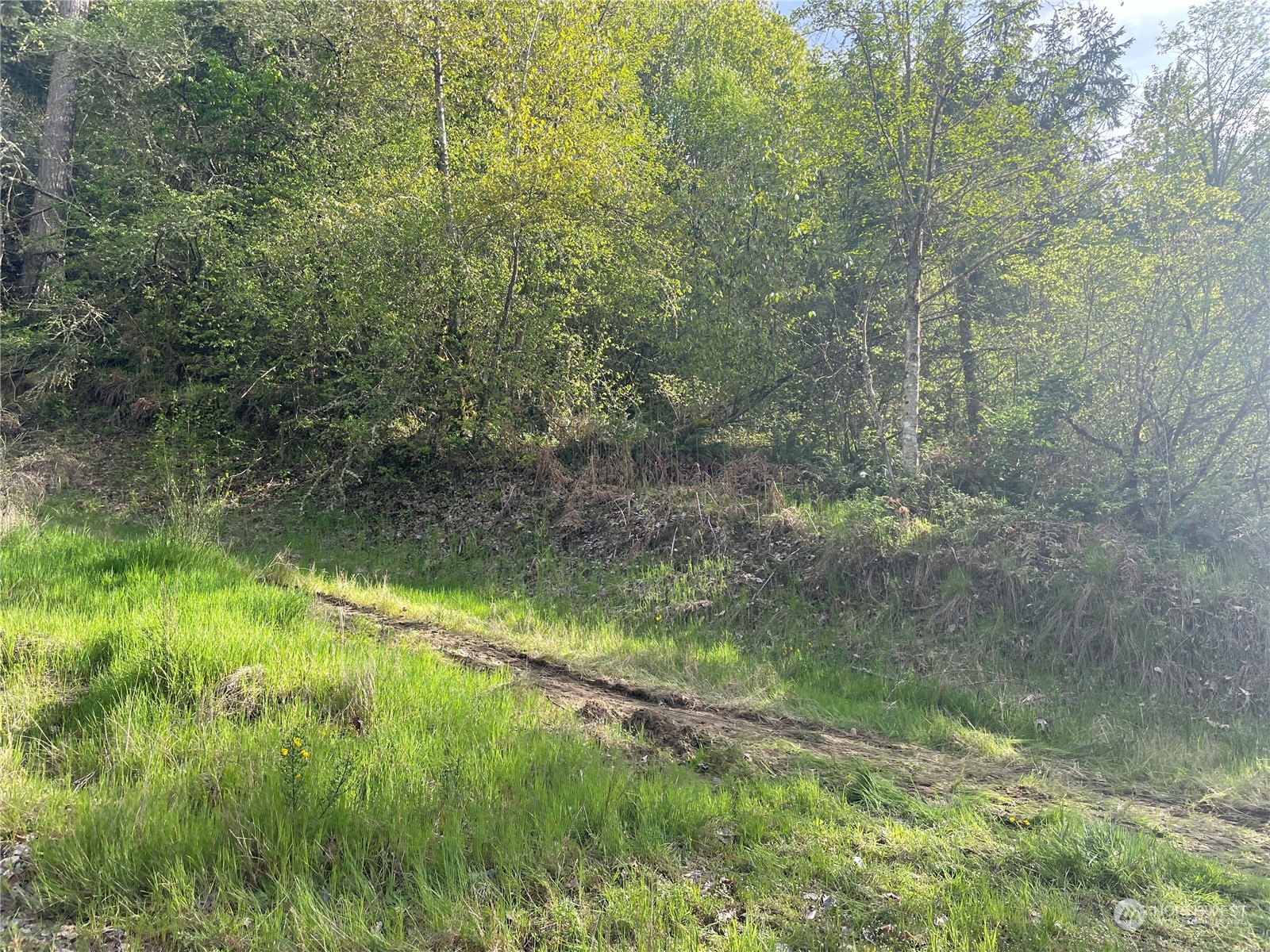 21635 Orville Road East Orting, WA 98360 - Photo 13 of 39