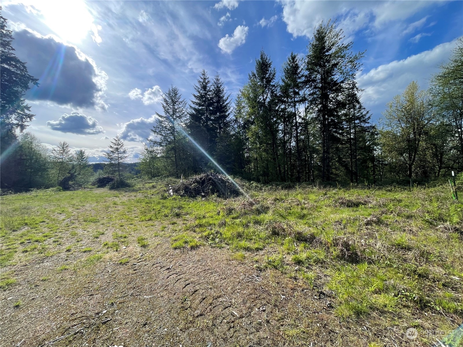 21635 Orville Road East Orting, WA 98360 - Photo 15 of 39