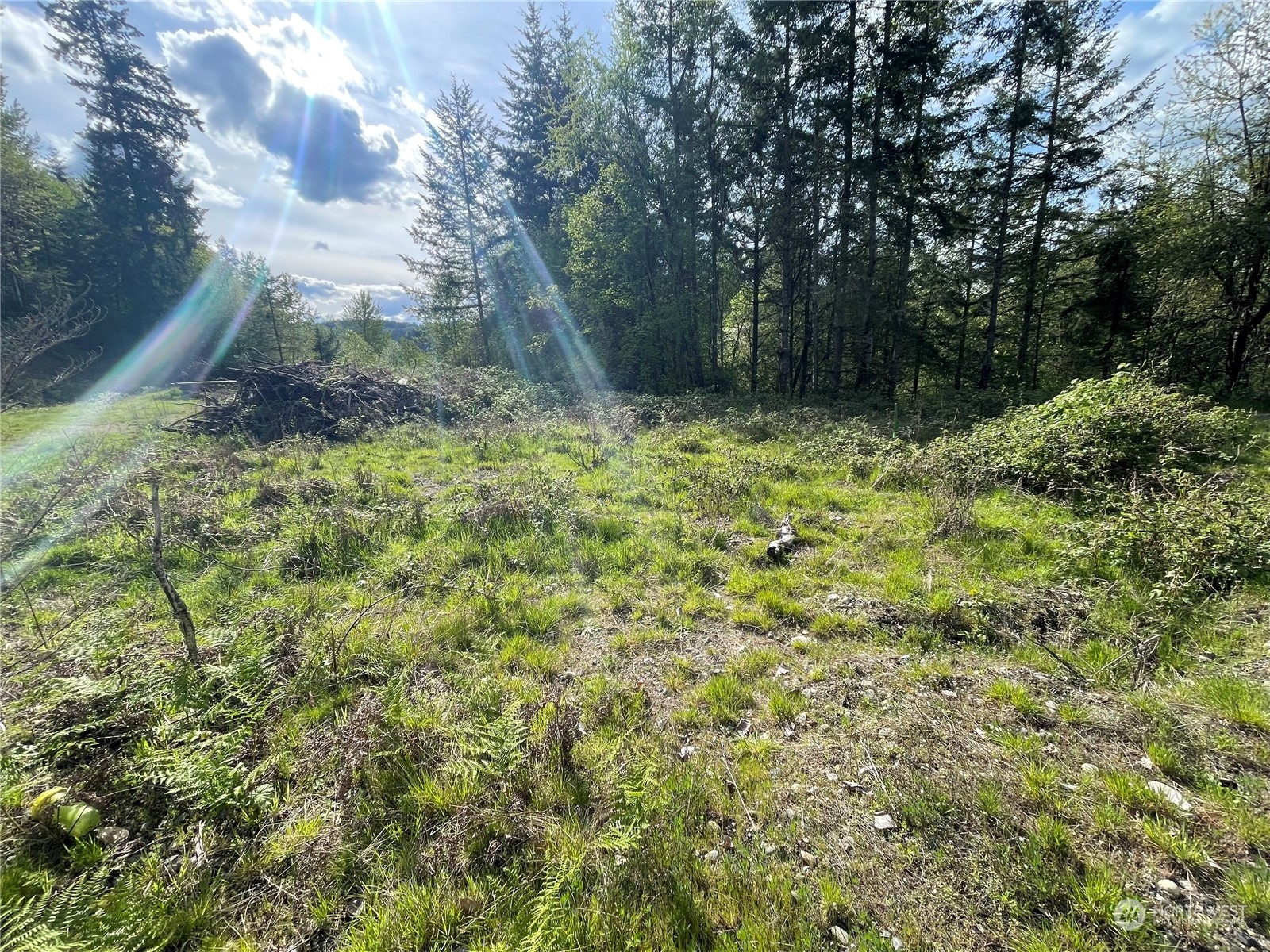 21635 Orville Road East Orting, WA 98360 - Photo 16 of 39