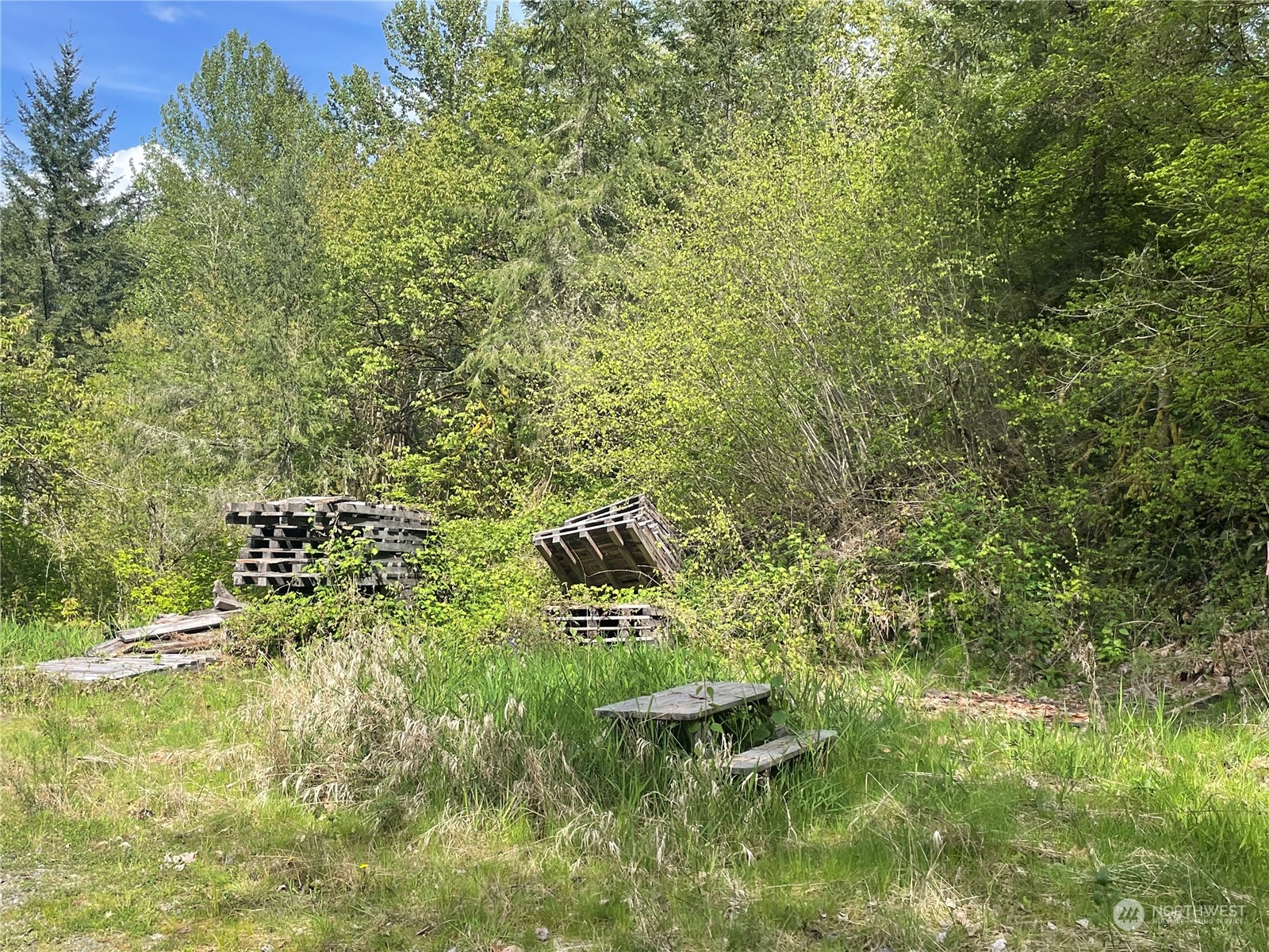 21635 Orville Road East Orting, WA 98360 - Photo 26 of 39
