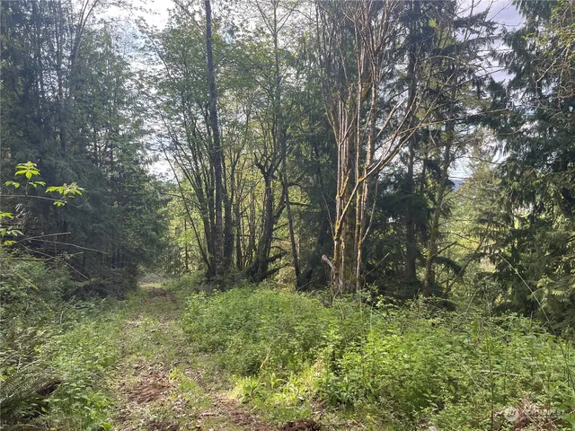 $500,000 | 21635 Orville Road East, Orting, WA 98360