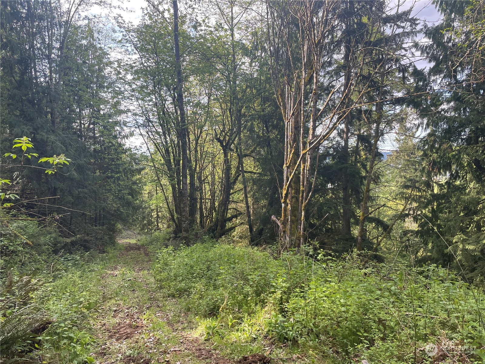 21635 Orville Road East Orting, WA 98360 - Photo 28 of 39