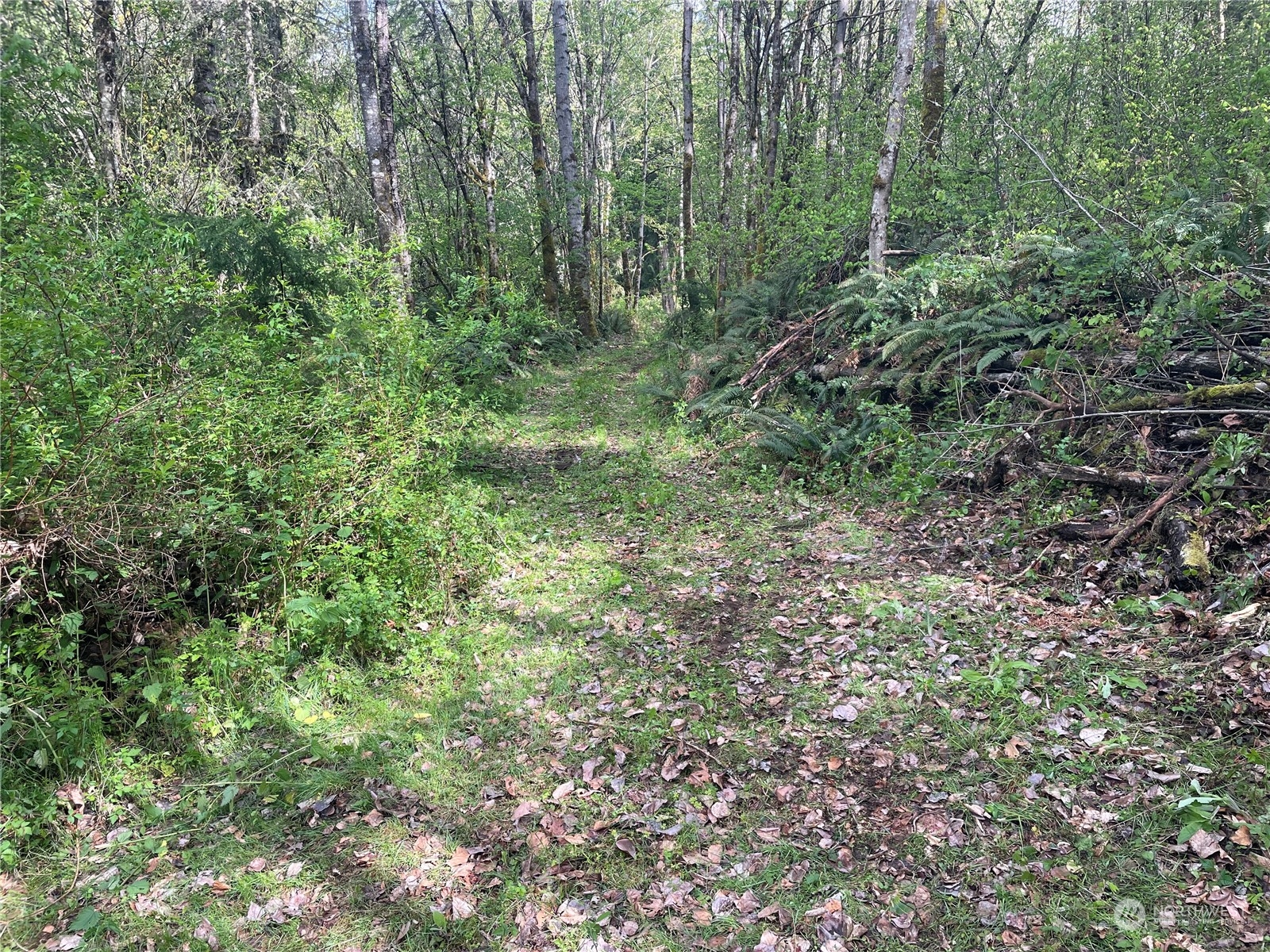 21635 Orville Road East Orting, WA 98360 - Photo 29 of 39