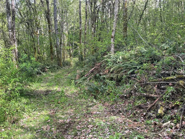 $500,000 | 21635 Orville Road East, Orting, WA 98360