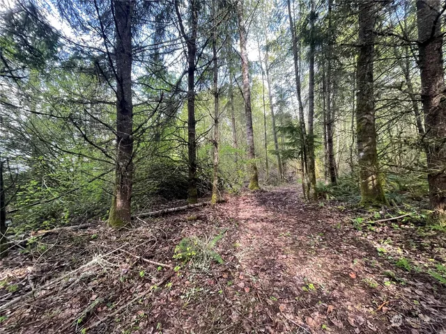 $500,000 | 21635 Orville Road East, Orting, WA 98360