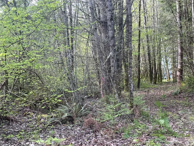 $500,000 | 21635 Orville Road East, Orting, WA 98360