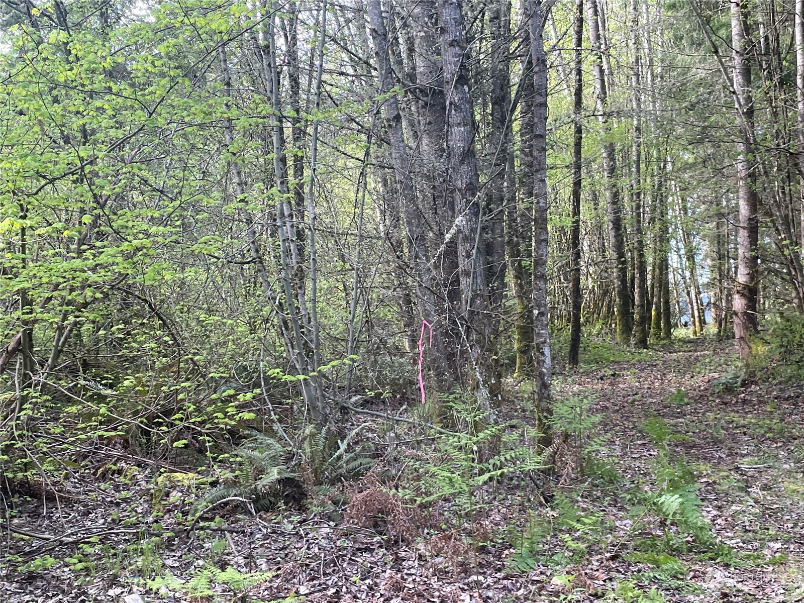 21635 Orville Road East Orting, WA 98360 - Photo 36 of 39