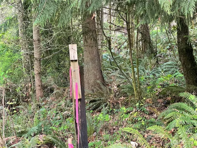 $500,000 | 21635 Orville Road East, Orting, WA 98360