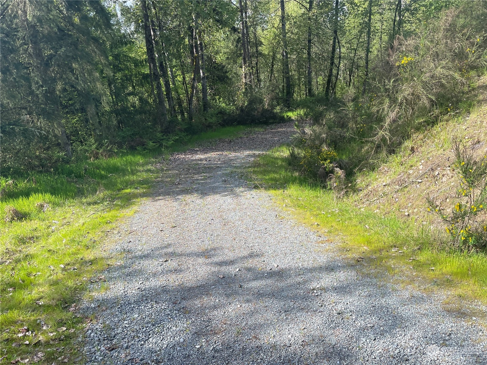 21635 Orville Road East Orting, WA 98360 - Photo 9 of 39