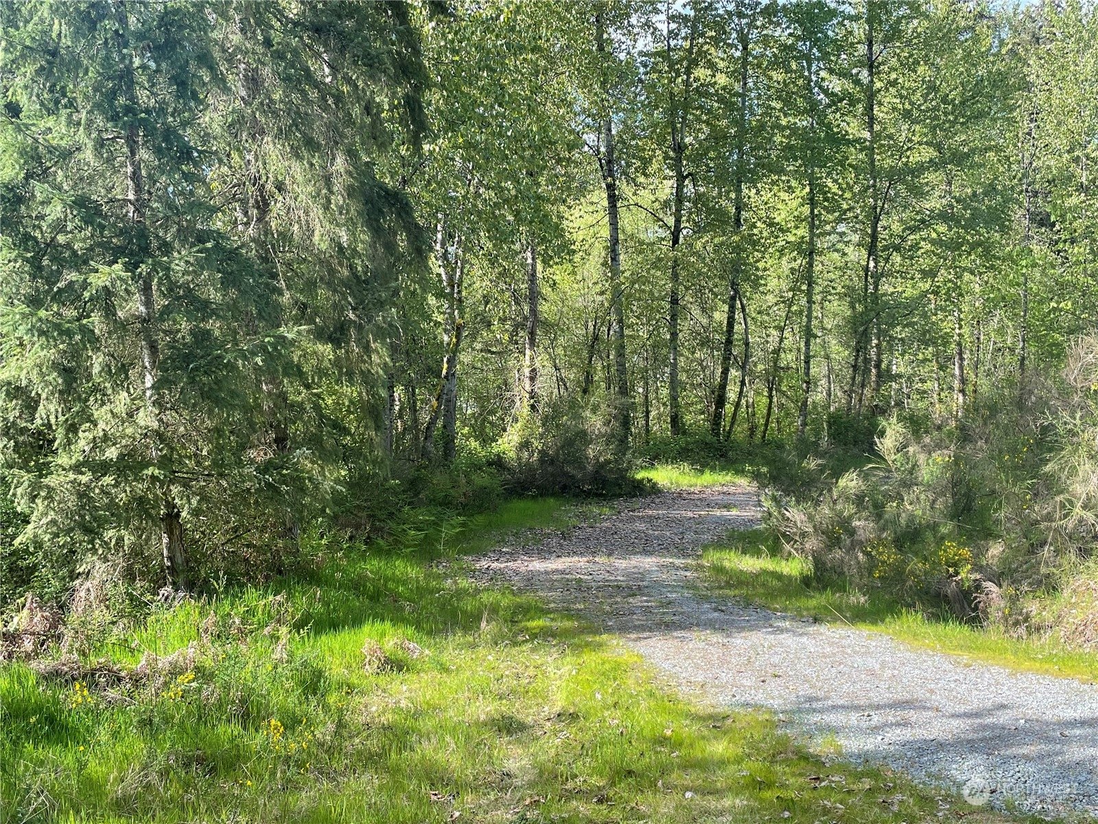 21635 Orville Road East Orting, WA 98360 - Photo 10 of 39