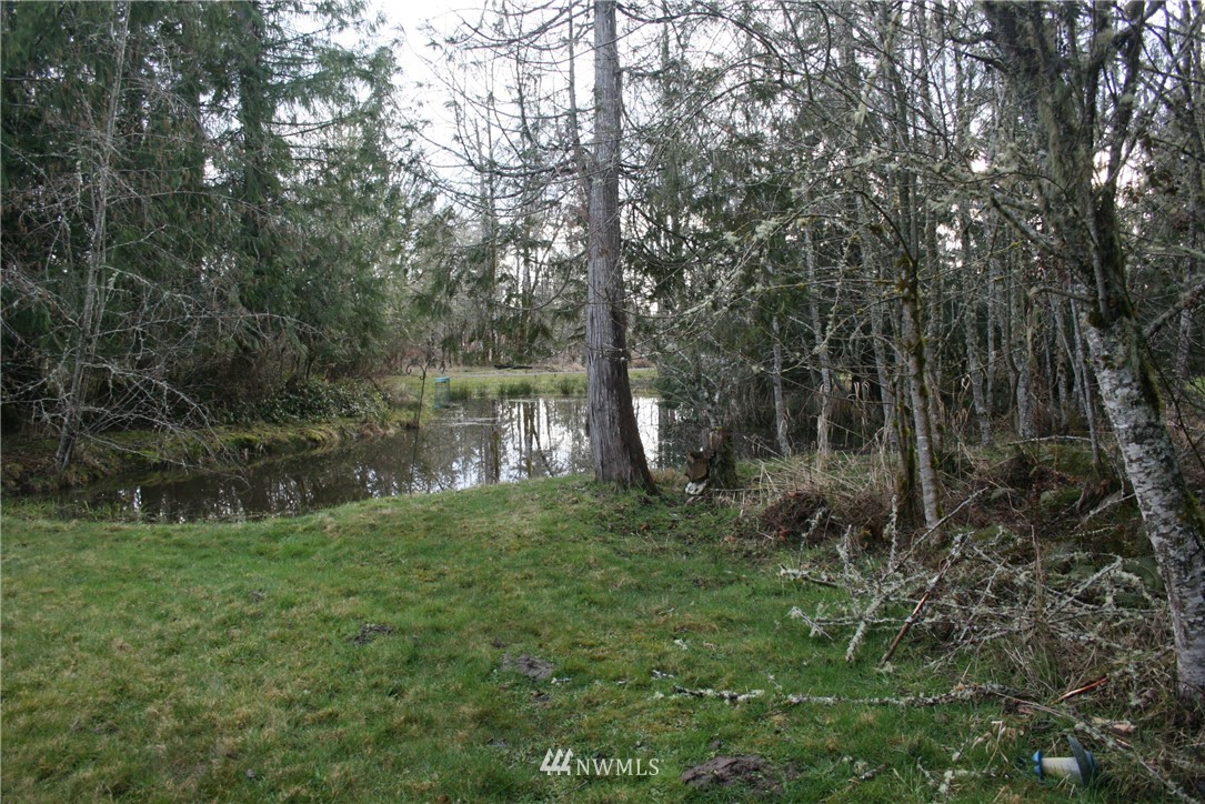 274 Hall Road Silverlake, WA 98645 - Photo 18 of 24 Gallery Image 18